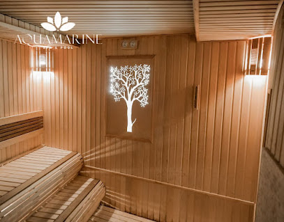 AQUAMARINE SPA and POOL